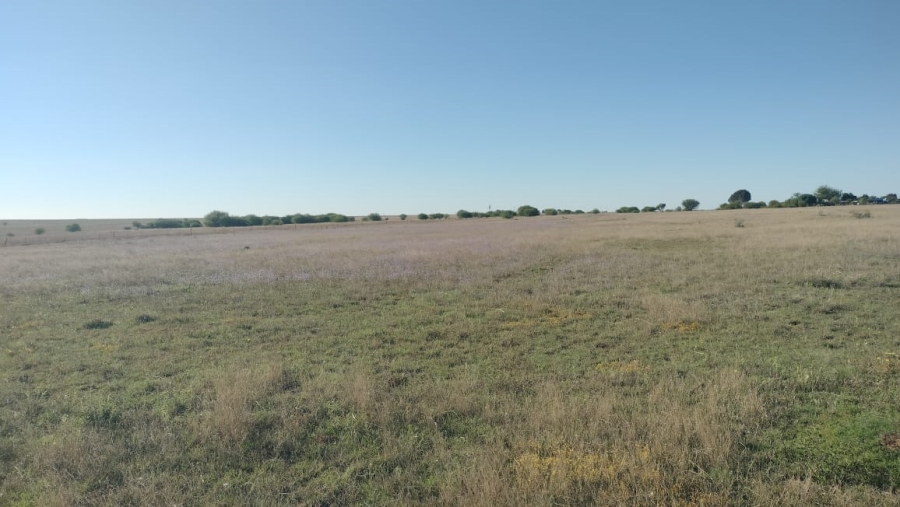 Commercial Property for Sale in Bloemfontein Rural Free State
